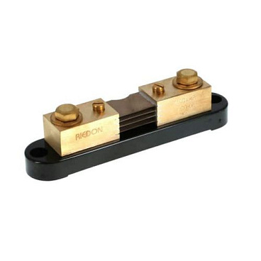 RSN-400-100B Riedon