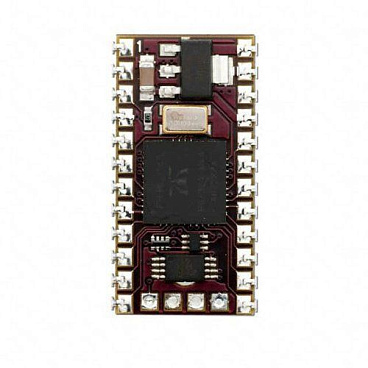 SS1-IC Parallax Inc